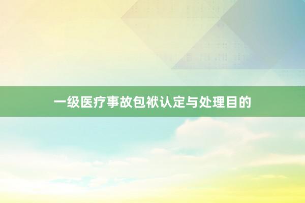 一级医疗事故包袱认定与处理目的
