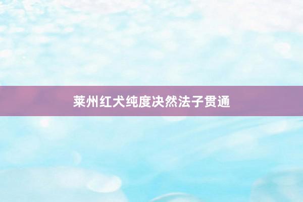莱州红犬纯度决然法子贯通