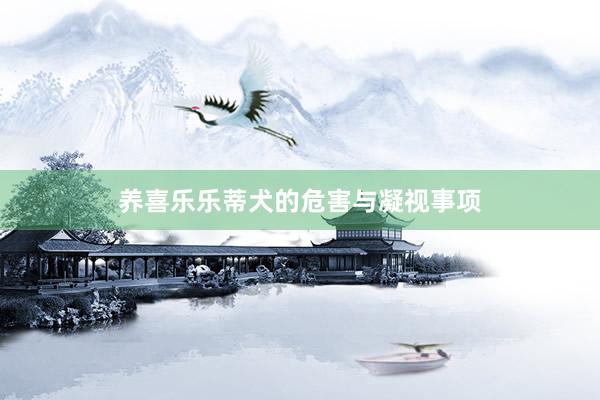 养喜乐乐蒂犬的危害与凝视事项